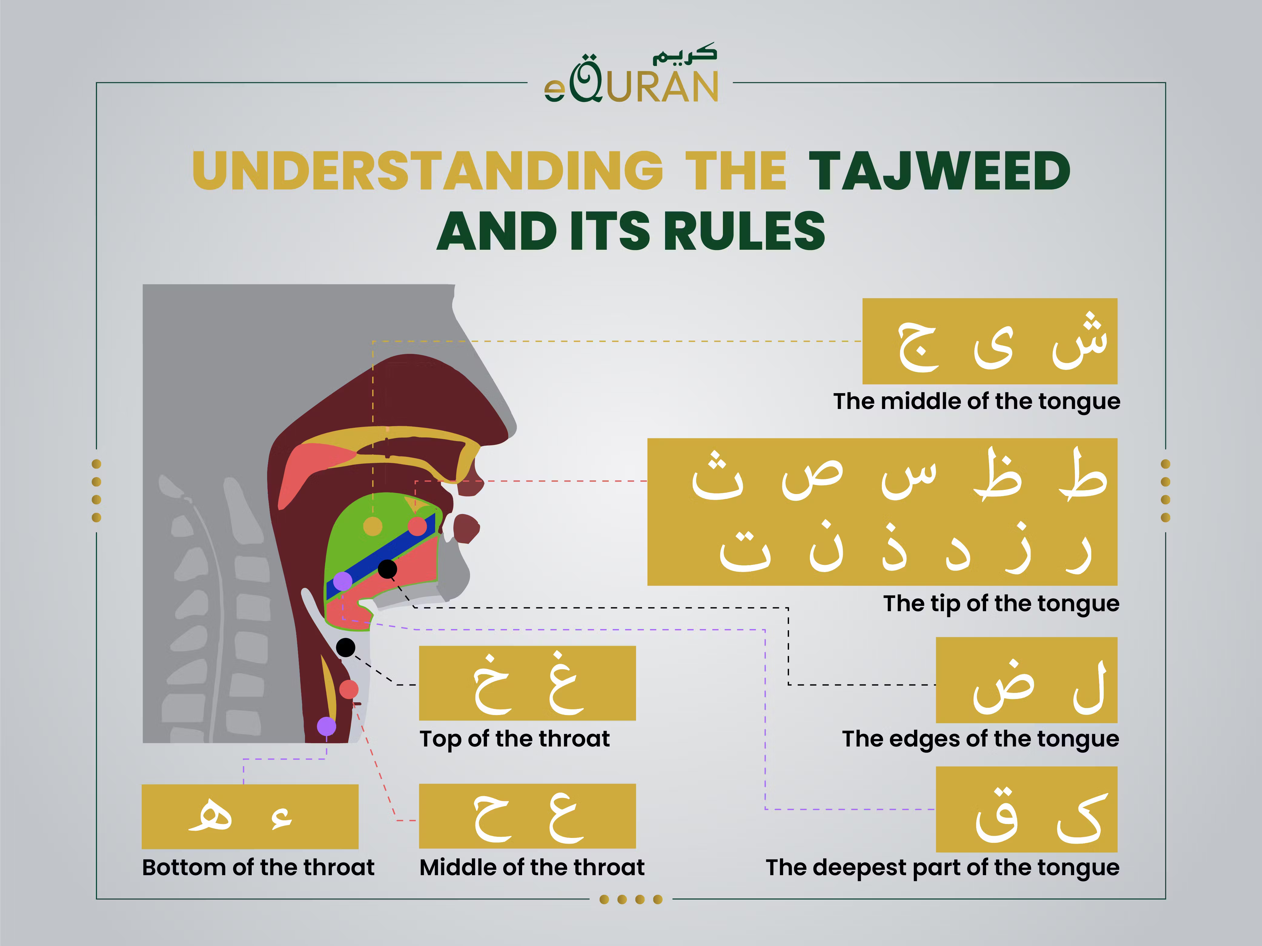 Tajweed Rules